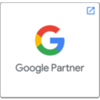 Google Partner logo